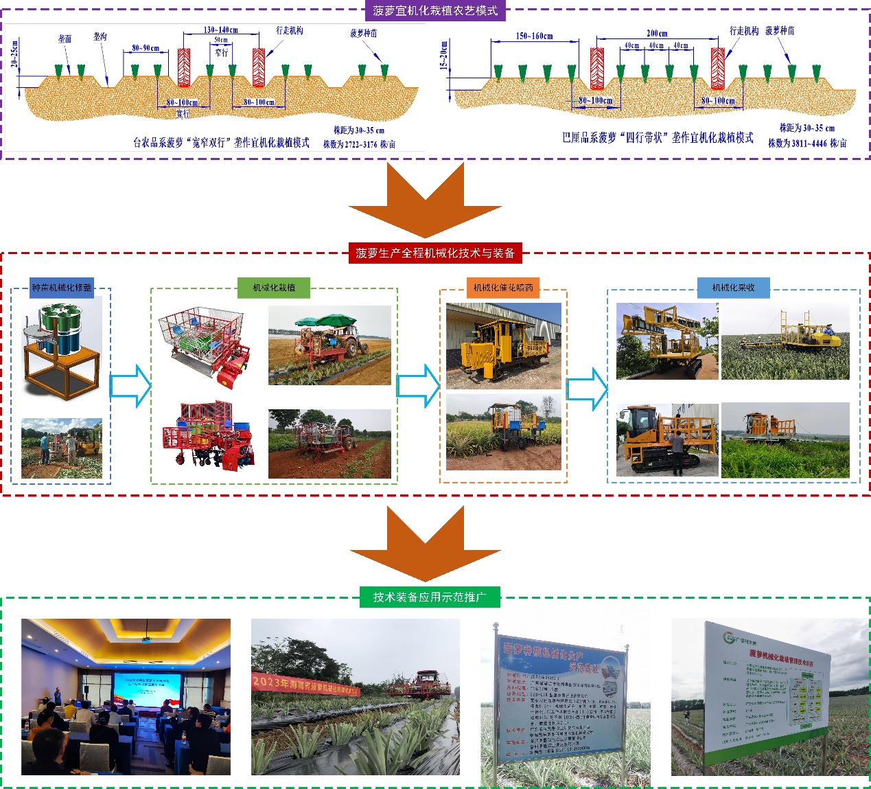 菠萝生产全程机械化技术模式.png